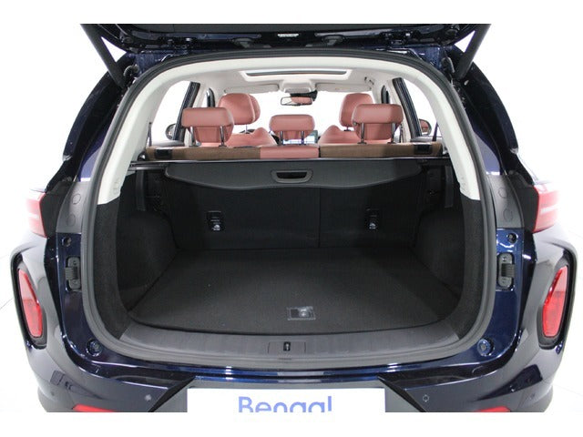 Skywell BE11